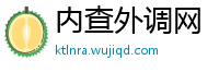 内查外调网